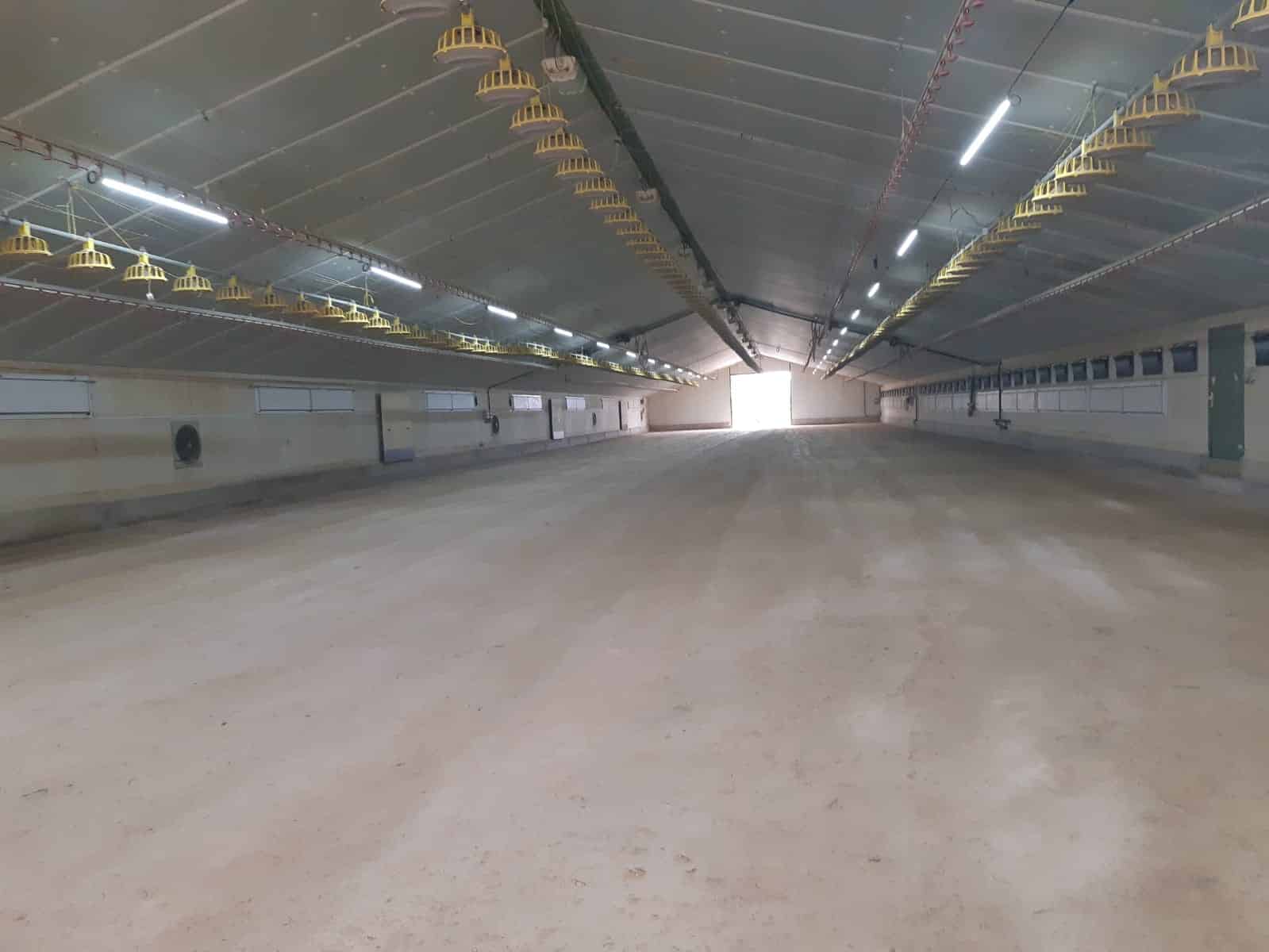 Réalisation-fosse-gémembrane-à-lisier
