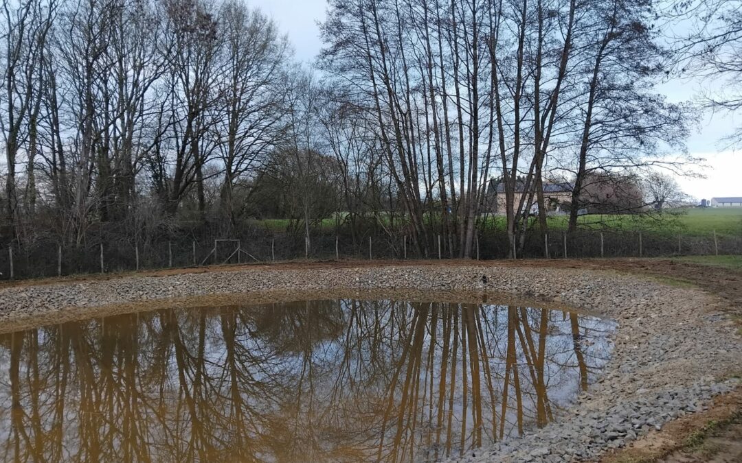 Enrochement de mare à Cossé-le-Vivien (53)