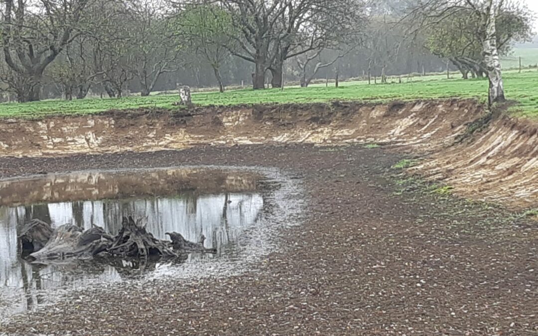 Nettoyage étang à Ballots (53)