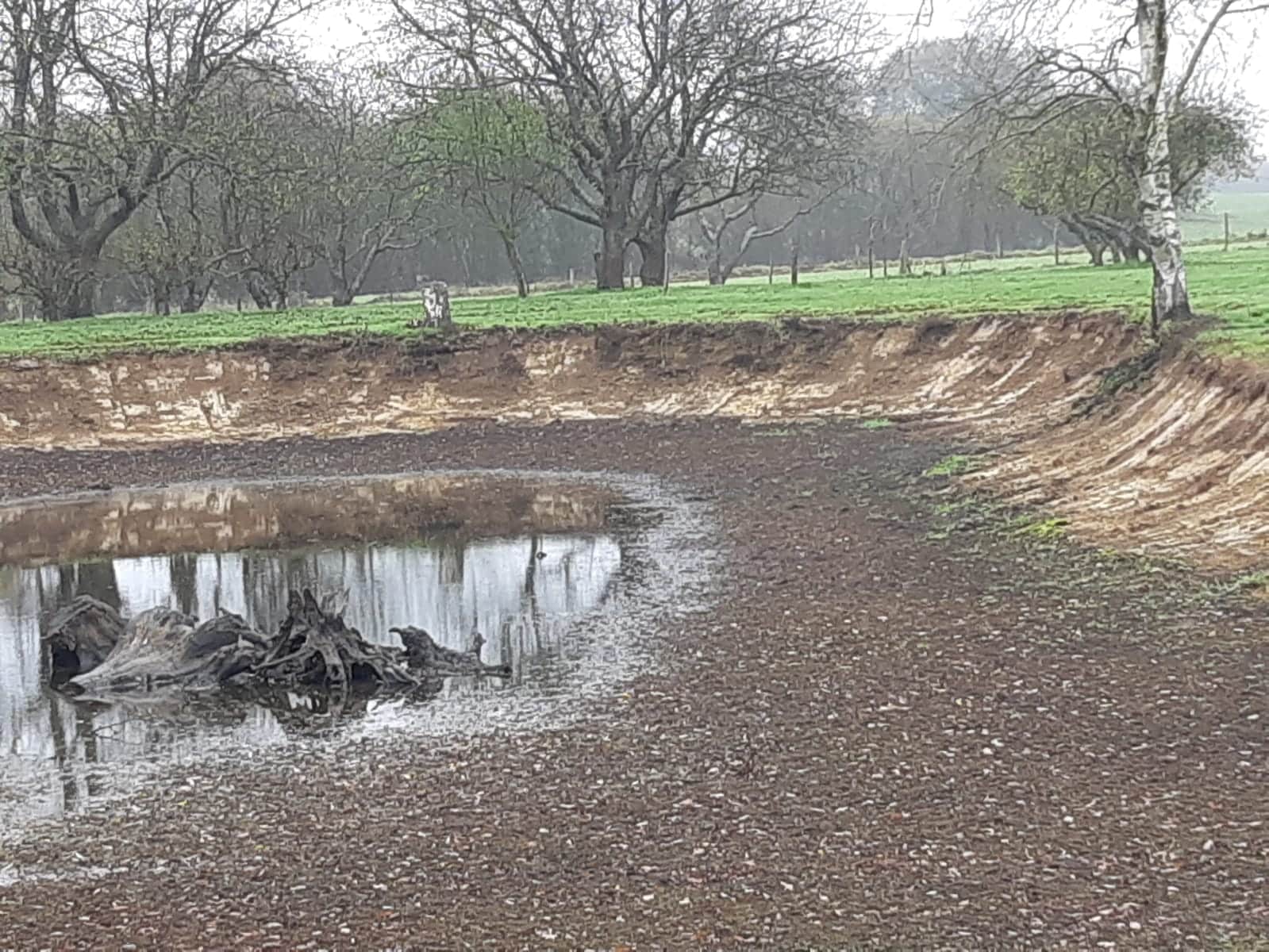 nettoyage-etang-ballots-tram-tp